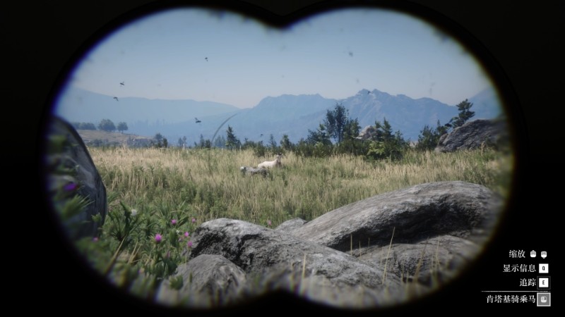 ����Ұ���ڿ�2��������ս10���Է���