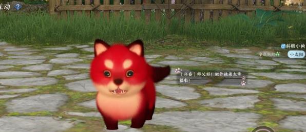 ˮζԻ