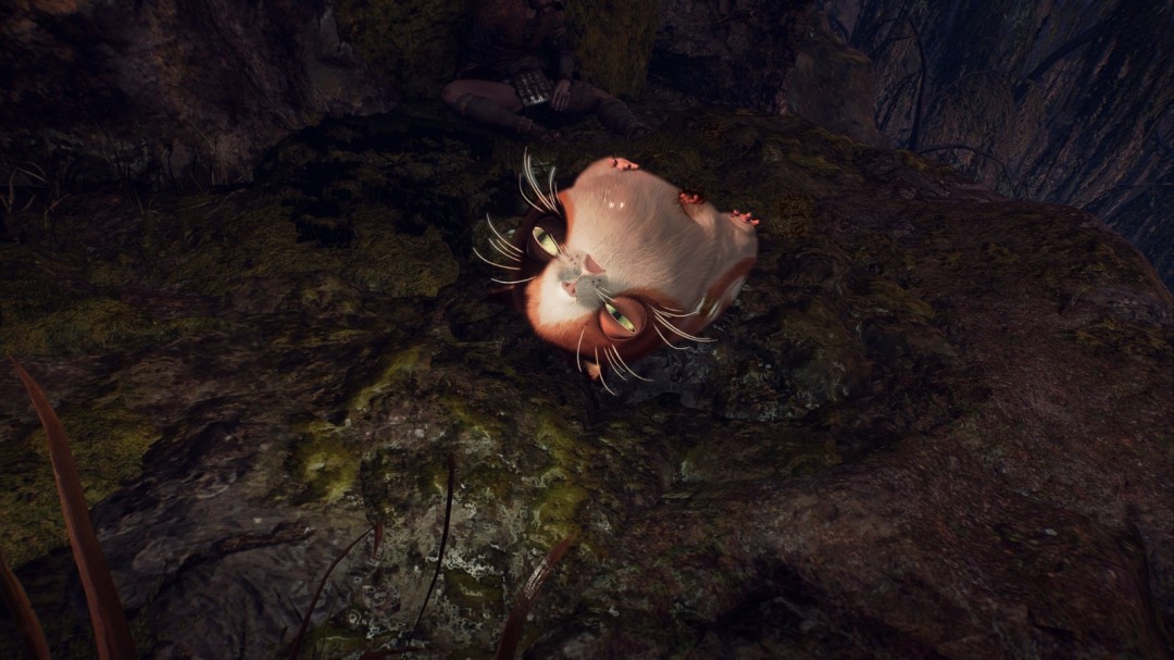 ������3���ɰ�è�������Ʋ����� ����ߣ����