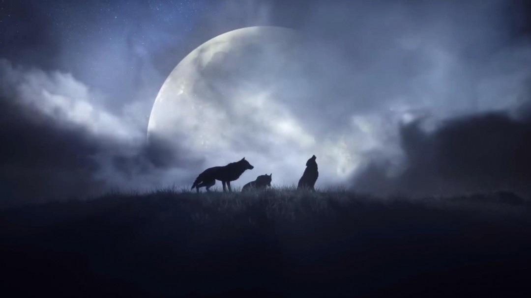 ����������֮Ѫ��ȫ��Ԥ�� ������ս��Ѫ��