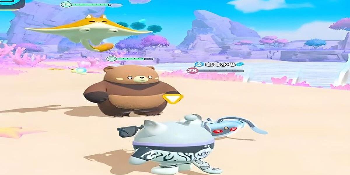 �����ɶ��ٸ�è��ôץ