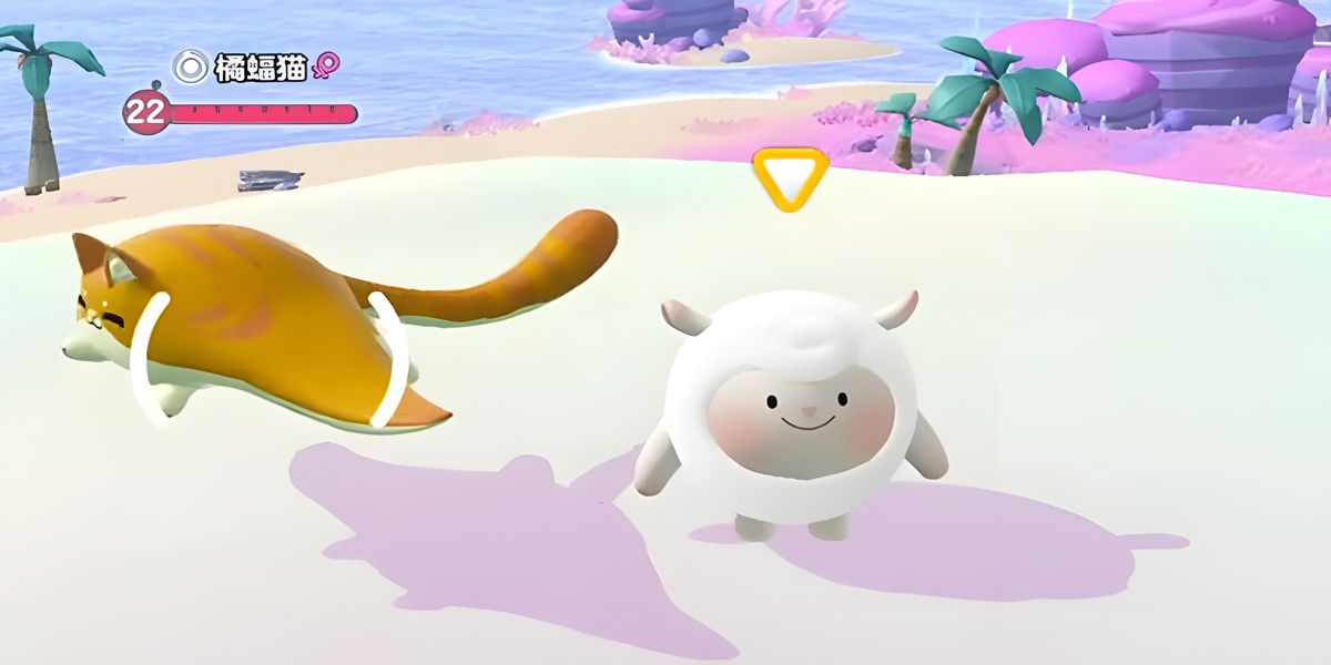 �����ɶ��ٸ�è��ôץ