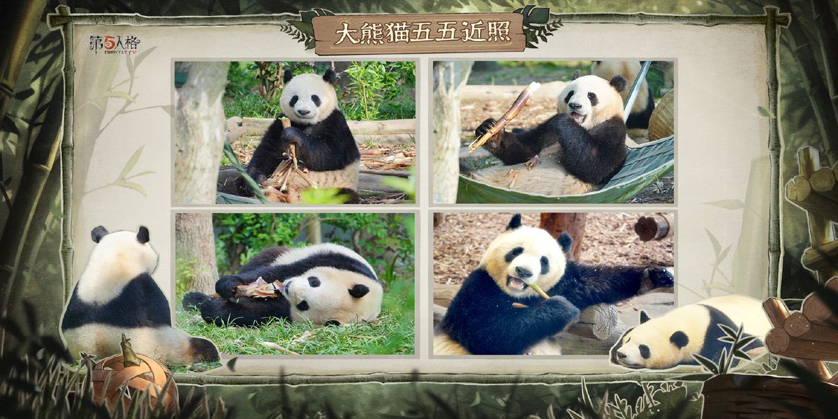 �����˸���èϵ��ʱװ��ô��