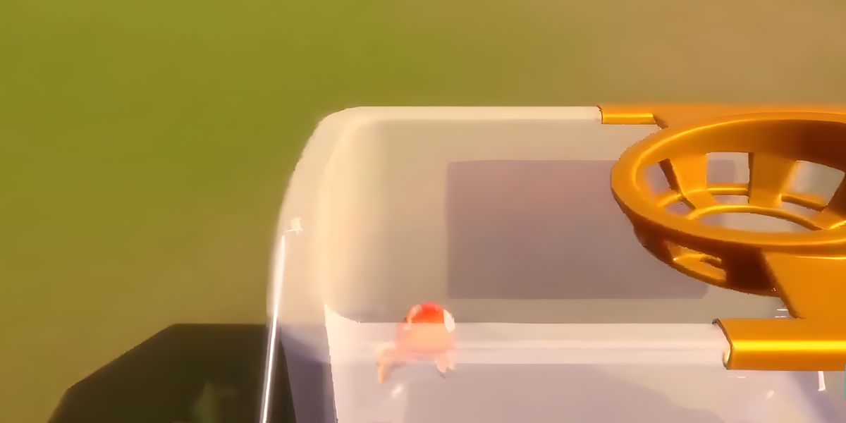 ����С����������Щλ��