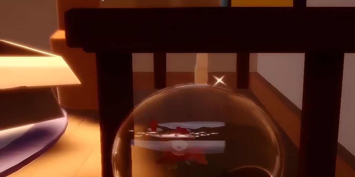 ����С����������Щλ��