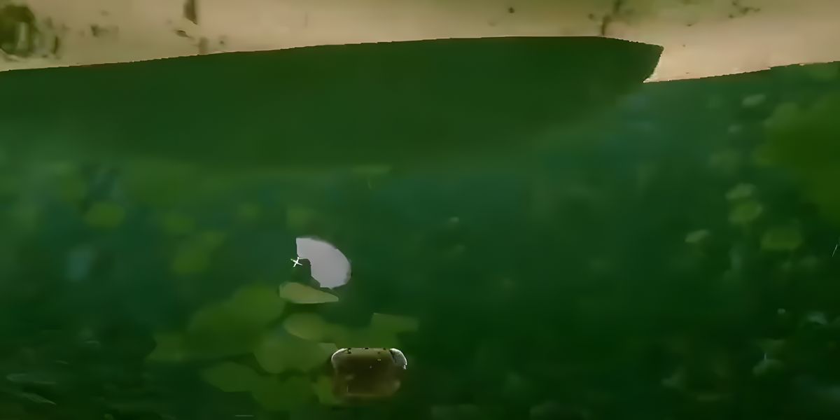 ����С����������Щλ��