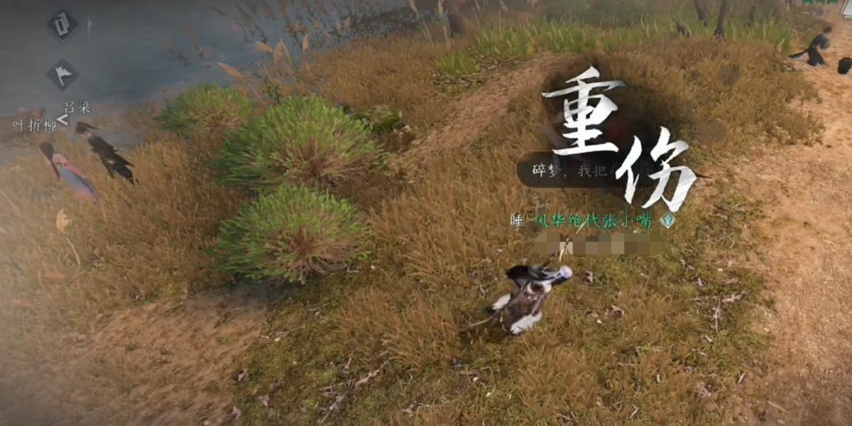 ��ˮ���������������ɵ���δ��