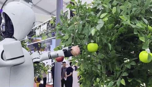 ��ѧ��һ��������м��ܣ��й���ѧԺ�Զ����о�������һ�� Q ϵ�л�������֧�ֲ��ֻ������