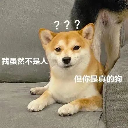 ����ʦʵ����� AI ���ߣ����ơ�10 ������������