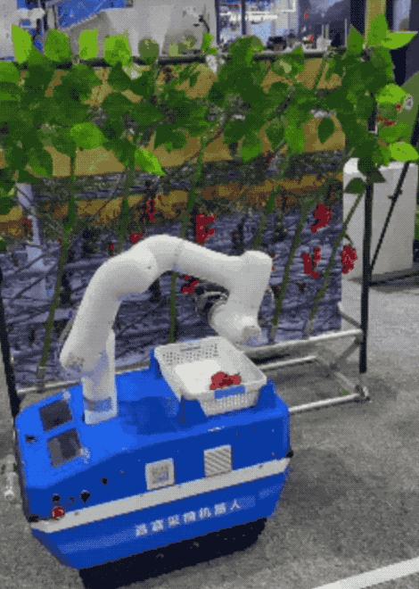 һ�Ŀ�����������˴�ᣬ����ȥ�ֳ��˼�����