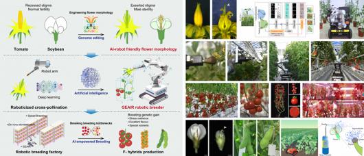 ������̨���ҹ��Զ�Ѳ���ӽ��ڷ��������ֻ����ˡ�����������