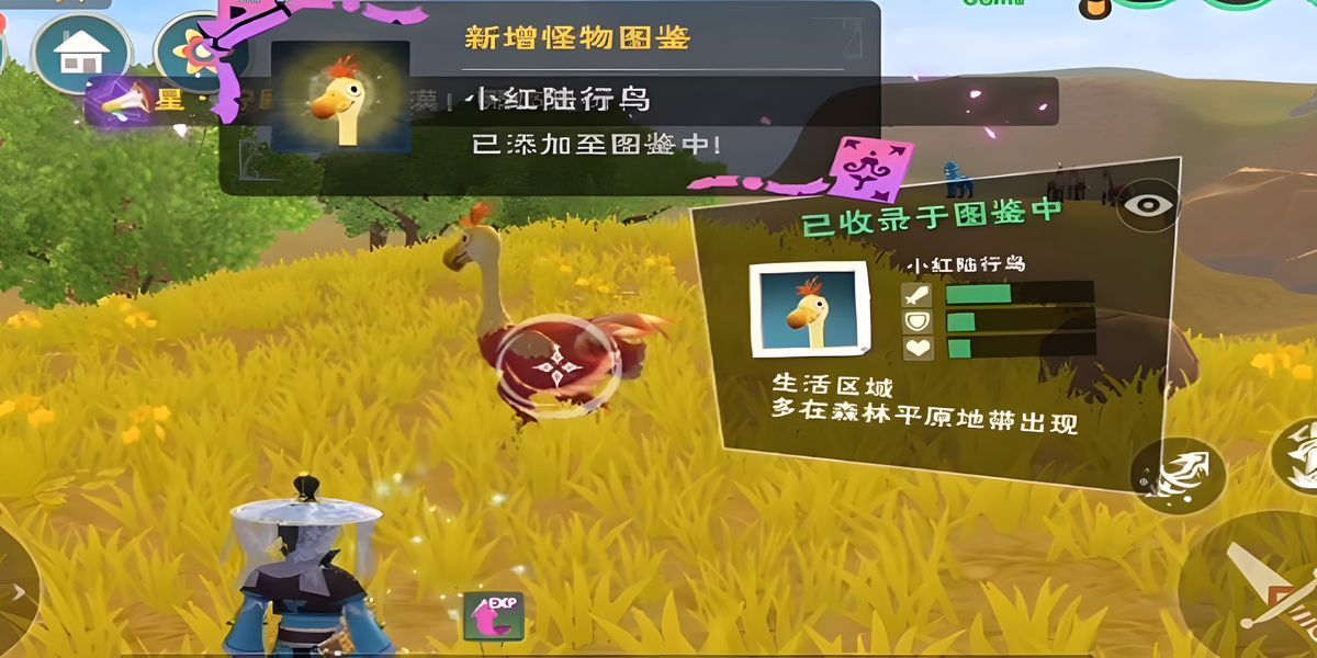 ������ħ��С��½����������ץ