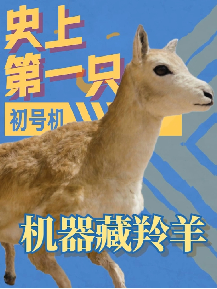 ȫ����ֻ�����������������ɿ��������������ˡ����ݡ�����Զ����۲��������Ϊ