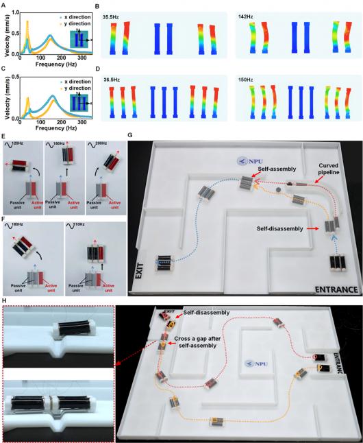 ������ҵ��ѧ�з������������ˣ�����-50°C �������������