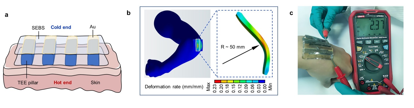 突破柔性能源材料难题:我国科学家研发出“热电橡胶”,有望用于可穿戴设备 突破柔性能源材料难题:我国科学家研发出“热电橡胶”,有望用于可穿戴设备