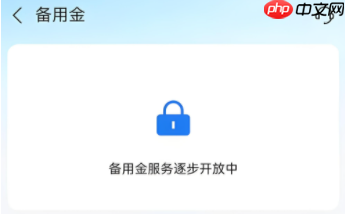 支付宝备用金逐步开放中,需要多久呀?要看无法服务的原因 支付宝备用金逐步开放中,需要多久呀?要看无法服务的原因