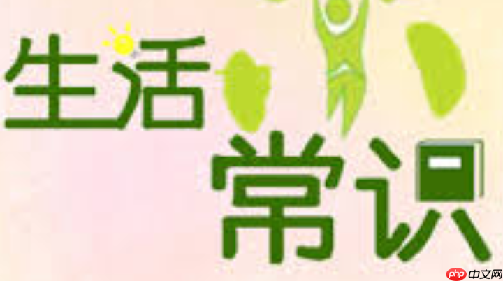 2024һ죿