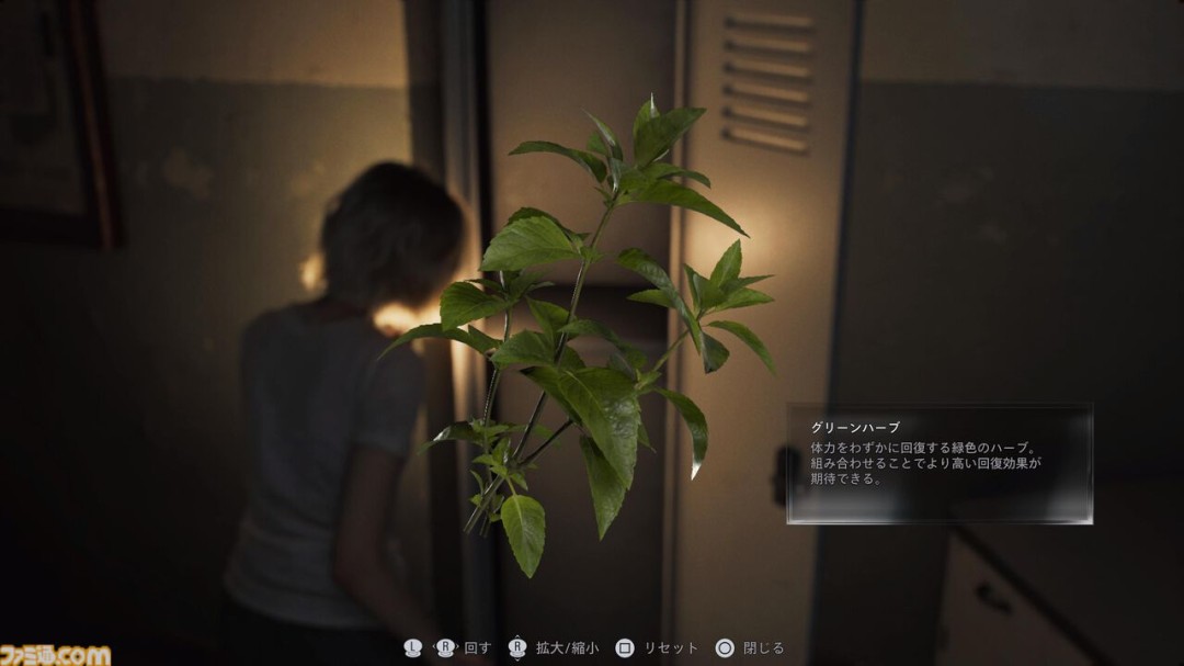 ������Σ��9����ý���汨��������С���������ġ��ž���P.T��