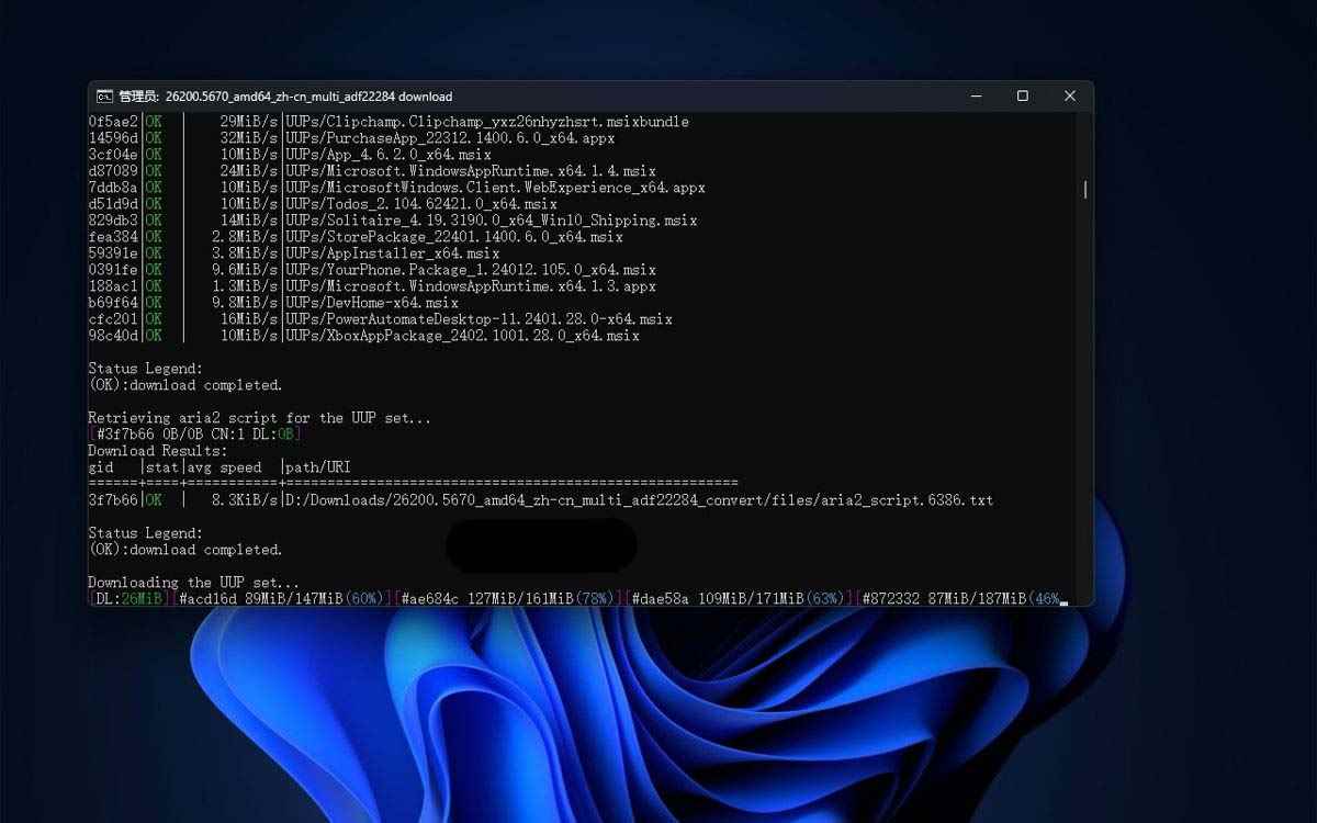 Win11 25H2 ISO������ô���ز���������U��?