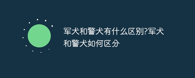 Ȯ;Ȯʲô?Ȯ;Ȯ