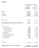 �ű�ѡ��2025 �ϰ���Ӫ�� 6.2 ��Ԫͬ������ 27.5%������ 4.4 ��Ԫ