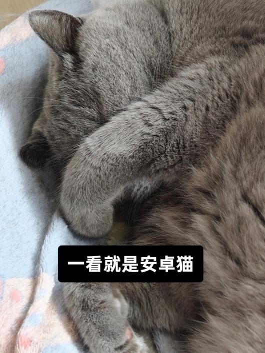 OPPO ��ϣ�������ڰ�׿ʱ������ƻ���������бȽϴ�Ĳ�࣬��������Ϊ��׿�û�����˼���ӡ���γ���ʶ�ϵ���Խ��