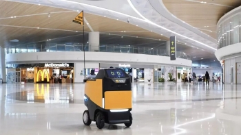 ׼ңڻͲͷ񣬻˰͵ǻ