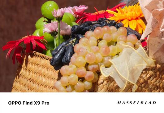 �����ʸУ��� TM �������������͸¶ OPPO Find X9 ϵ���״�ȫϵ�ռ�����ϼɫ�ʻ�ԭ��ͷ������������