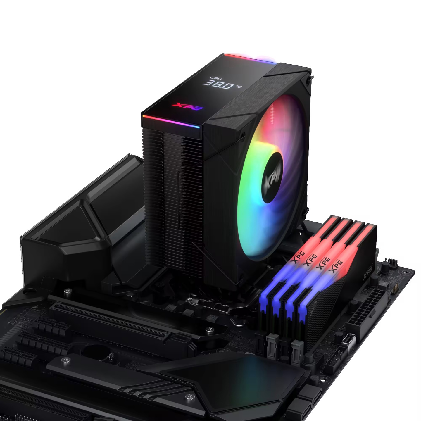  XPG ɢ MAESTRO PLUS ͺ
