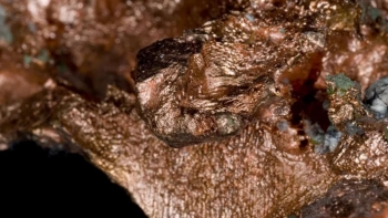 AI ������ѧ�ҹ�������ѧ�������⣬�����ٲ��Ͽ�ѧ�о�