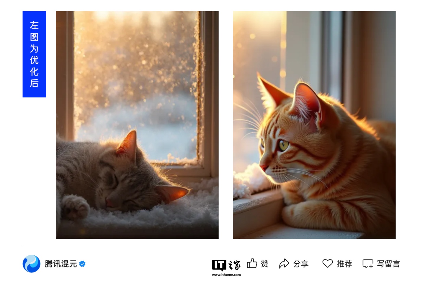 ����ģ����ͼ��ȥ�͡�����Ѷ��Ԫ���о� SRPO ����