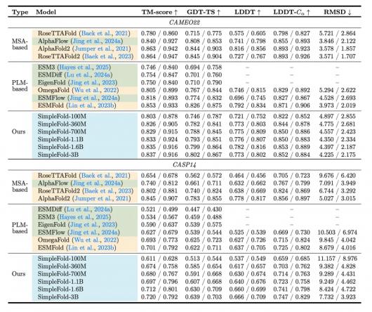 ����������ƻ���������� AI ģ�� SimpleFold�����͵�����Ԥ�����ɱ�