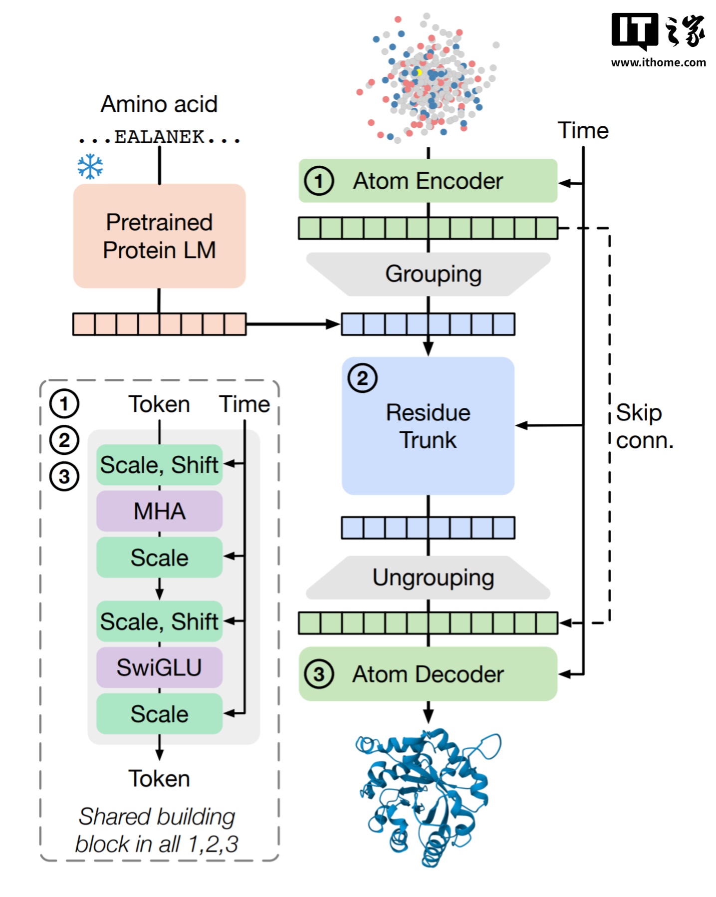 ����������ƻ���������� AI ģ�� SimpleFold�����͵�����Ԥ�����ɱ�