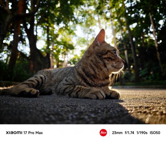 С�� 17 Pro Max �ֻ�����������ȫ���⿨��Ӱ��ʦӰ��ϵͳ��5999 Ԫ��