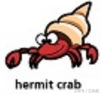 ǵӢô˵ȫӢʻټ