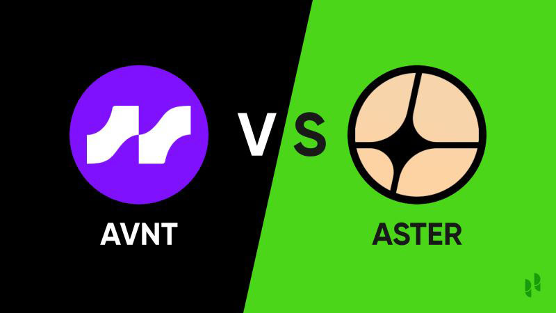 ASTERAVNTԱȣ2025ĸǸõļܻͶʣ