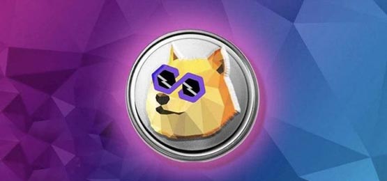 POLYDOGEҷأ׬Ԫ棿