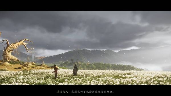 ɽ֮갵ҹ̽̽ȡ ̫̽ô