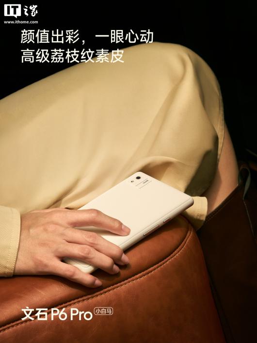 ʯ P6 Pro СƷ͸߼֦Ƥ塢ֲ֧ 5G 