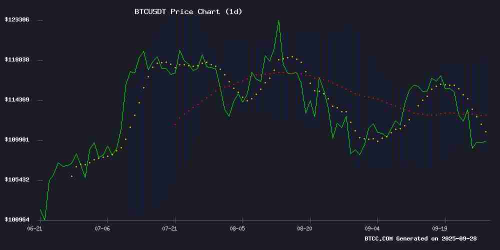 BTC۸Ԥ⣺ѹǰԿ