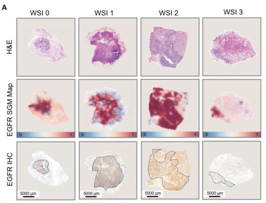 ��Ѷ AI ʵ�ַΰ�����ͻ��Ԥ�⣬������� 99%