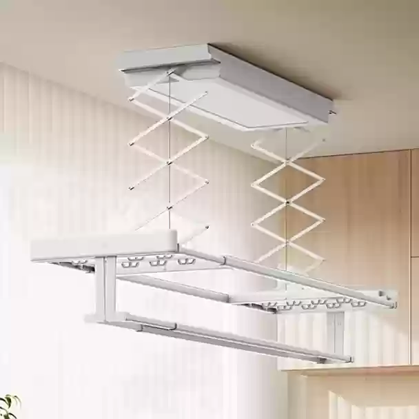 9.1 cm  + 31 ӢƣС׼» 2  619 Ԫ