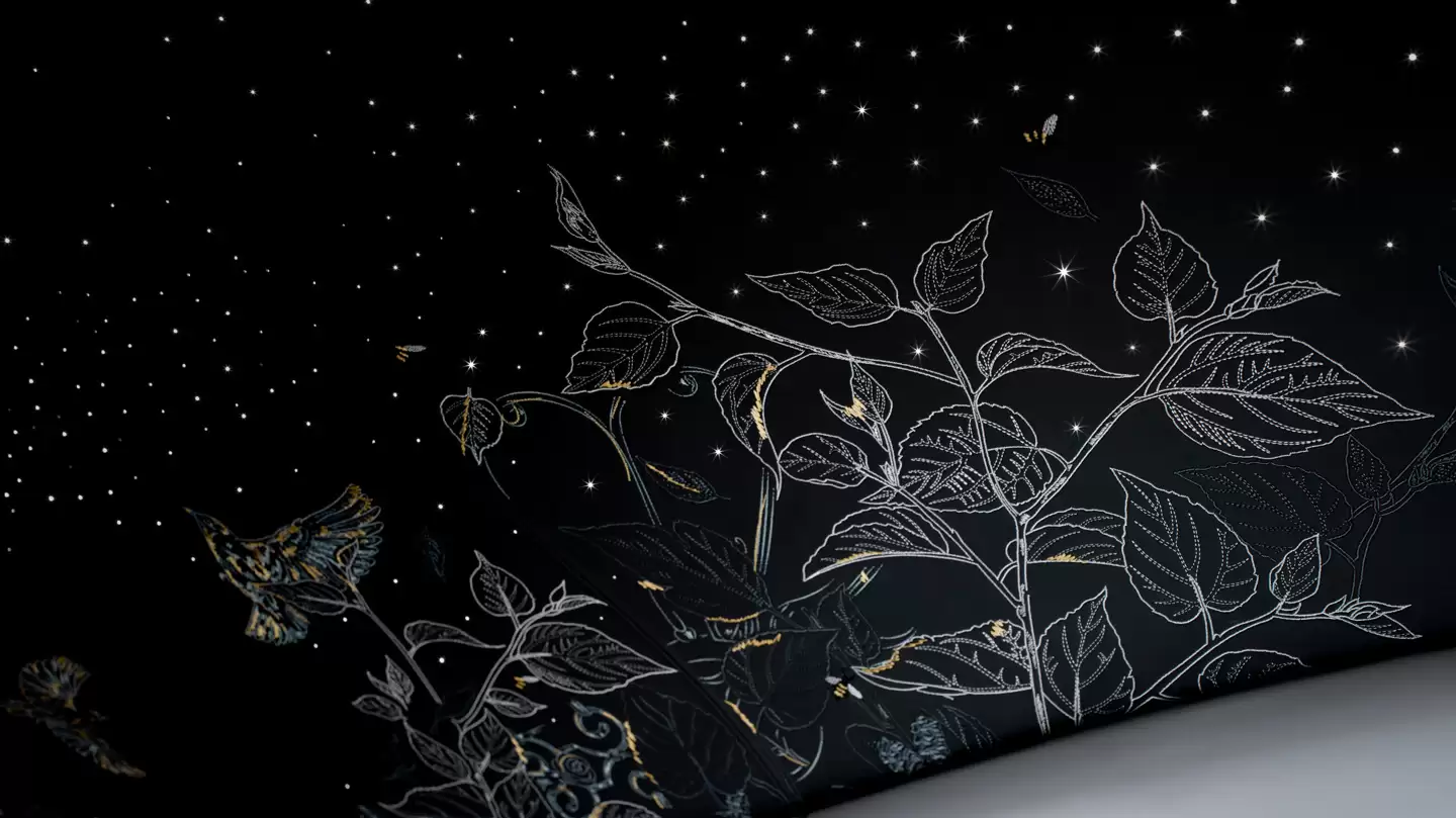 ���ϵ������Ʒ����˹��˹�Ƴ����� 25 ̨�Ļ�Ӱ������ذ�