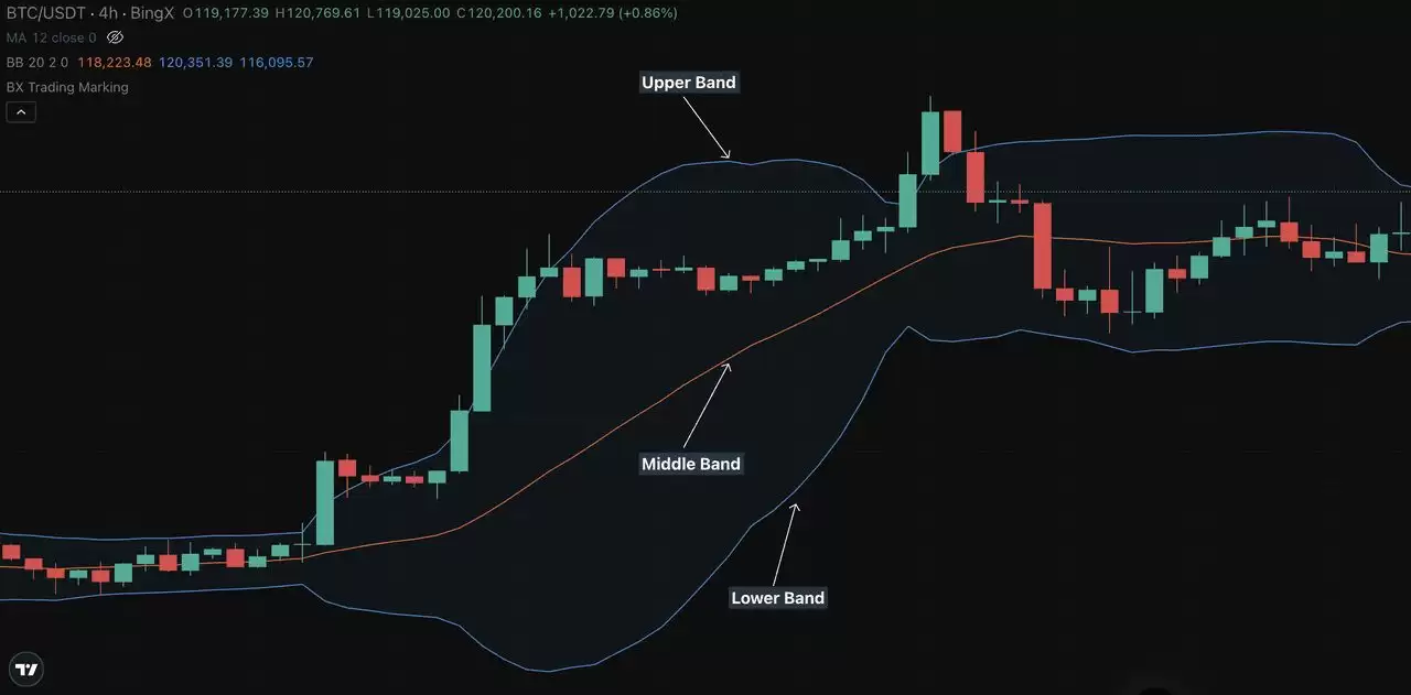 ���ʹ�ò��ִ�ʶ������г�ͻ�������ƣ���������ָ��