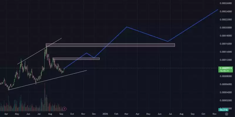 Floki INU (FLOKI)δǰΣFLOKI2025ꡢ2026-2030۸Ԥ