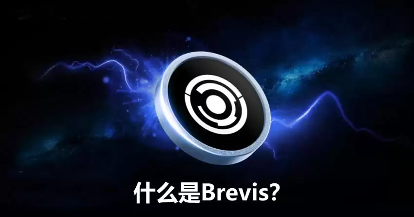 ʲô��Brevis��Brevis��Ը�������ơ�Ӧ�ó�������̬����������