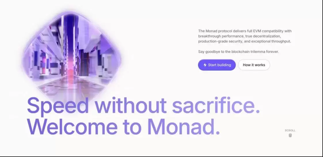 Monad̬2025һõͶʮMonadĿͶ