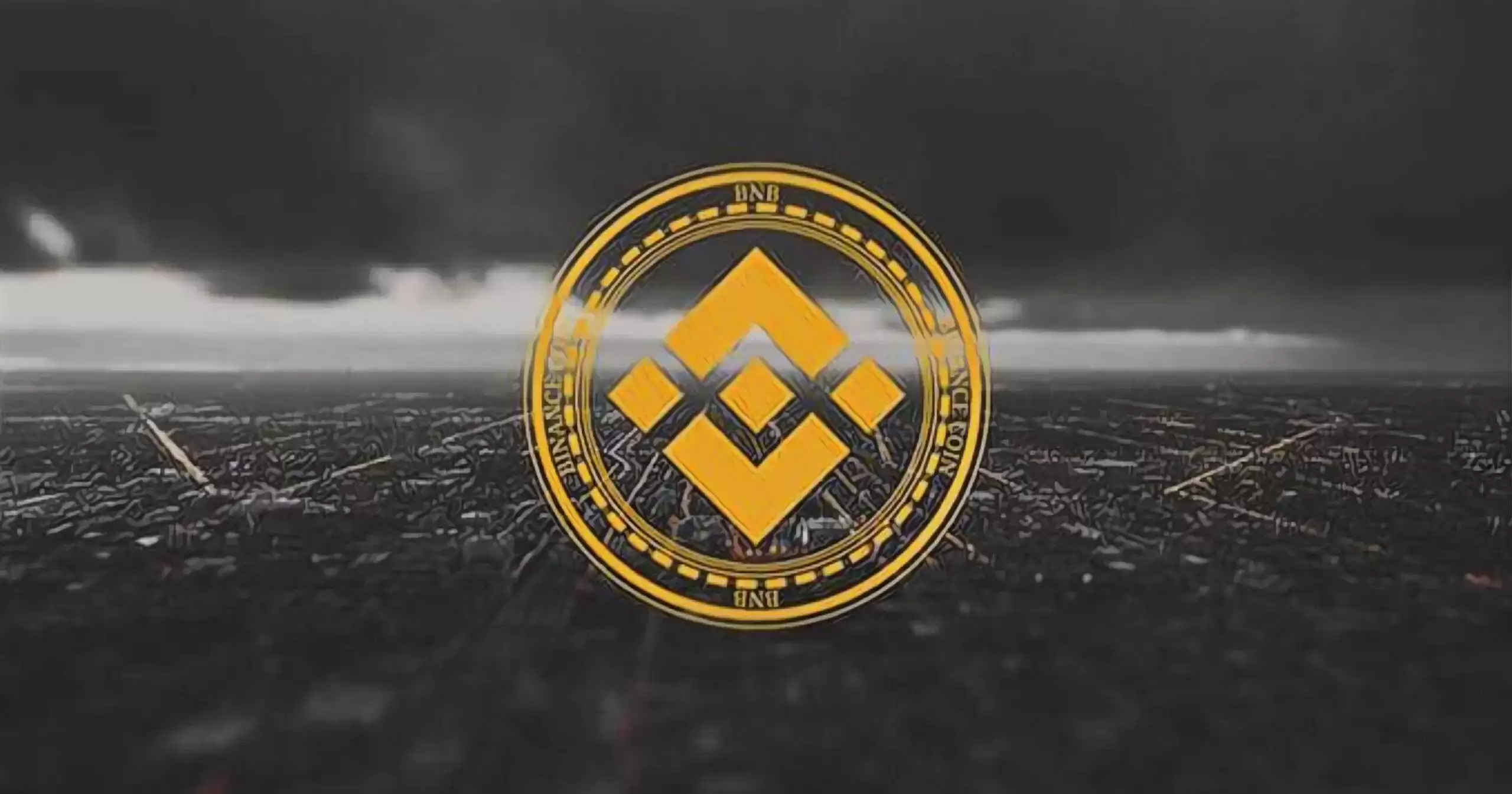 ʲô�ǱҰ��ң�BNB�������ǵ���ߣ�BNB�۸�Ԥ��2025-2050