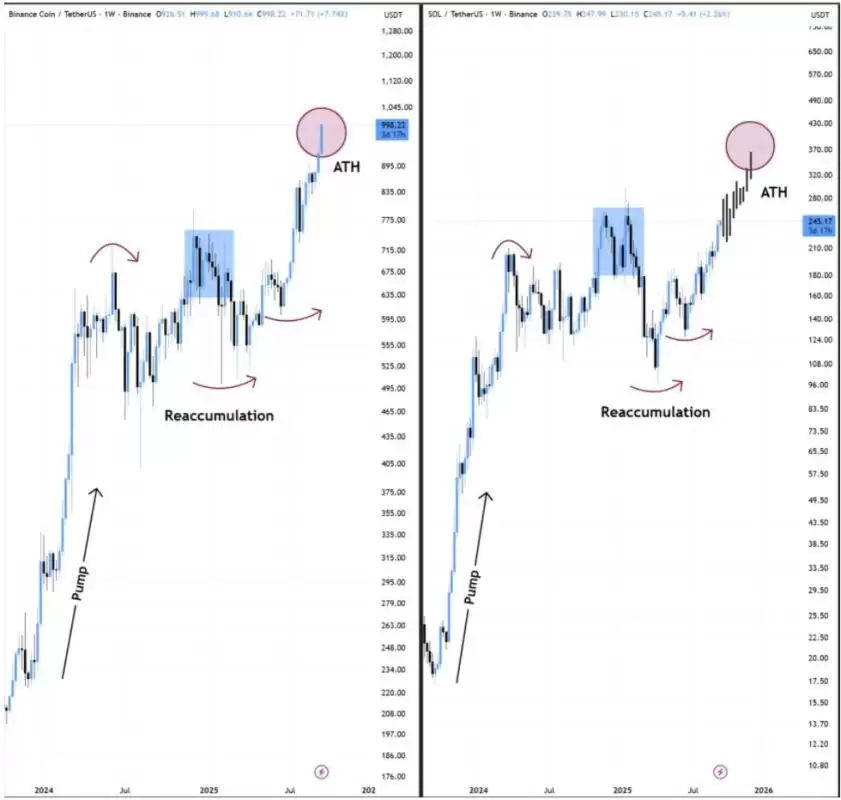 SOL������һ��BNB��Solana���ڸ���BNB���¸ߵļ۸�·��
