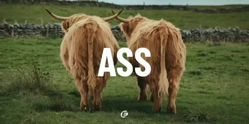 Eclipse Crypto��ʲô���������Щ���⣿Layer-2������ƽ̨ȫָ��